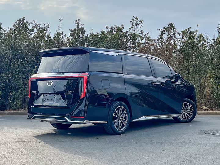 Фото 4 - GAC Trumpchi M8