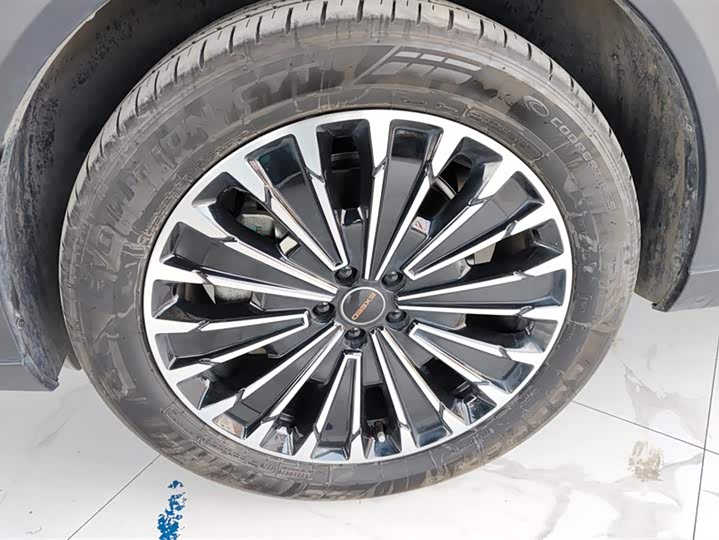 Фото 6 - Exeed RX C-DM Hybrid