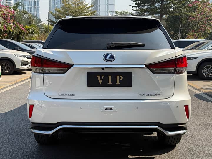 Фото 8 - Lexus RX