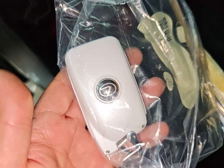 Фото 9 - Lexus RX