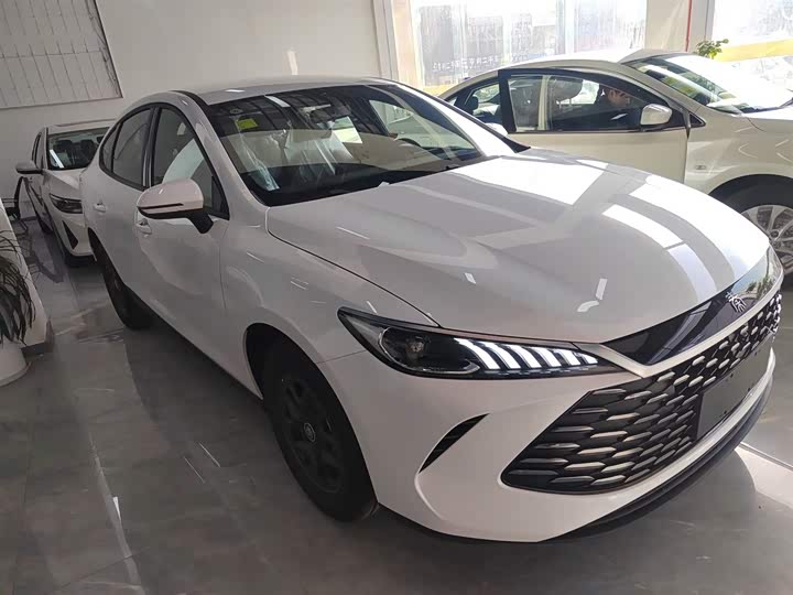 Фото 4 - BYD Qin Plus