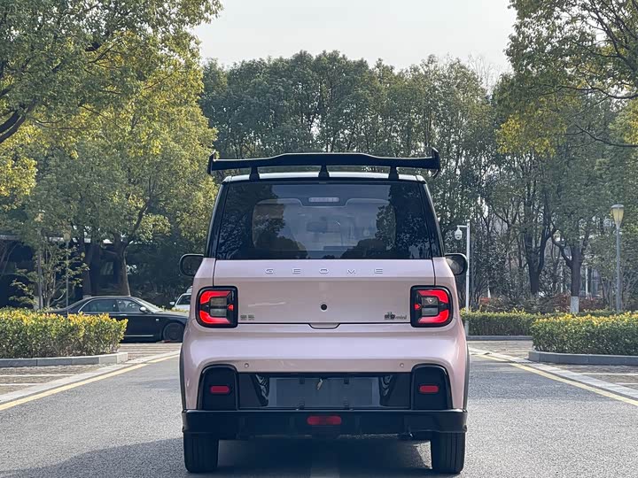 Фото 4 - Geely Galaxy Panda Mini