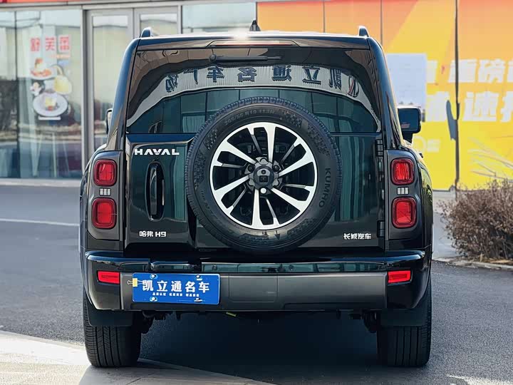 Фото 5 - Haval H9