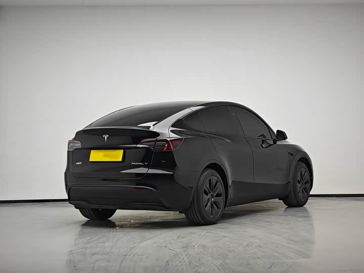 Фото 4 - Tesla Model Y