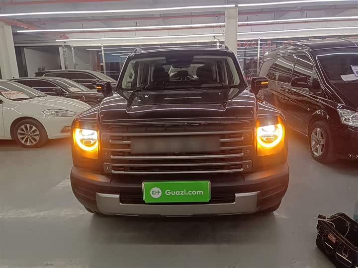 Фото 3 - Haval Raptor Hybrid