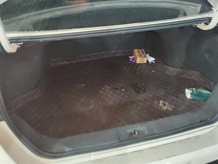 Фото 4 - Nissan Sylphy