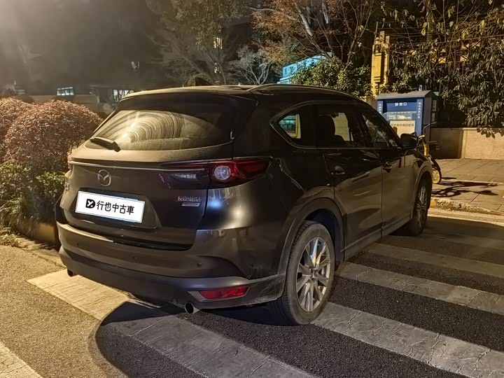 Фото 4 - Mazda CX-8