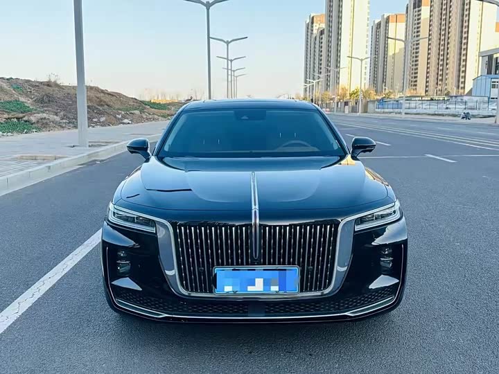 Фото 2 - Hongqi H9