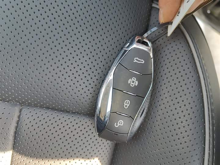 Фото 9 - Hongqi HS7 Hybrid