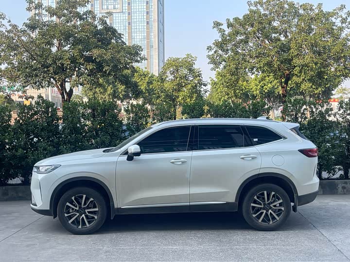 Фото 3 - Haval H6