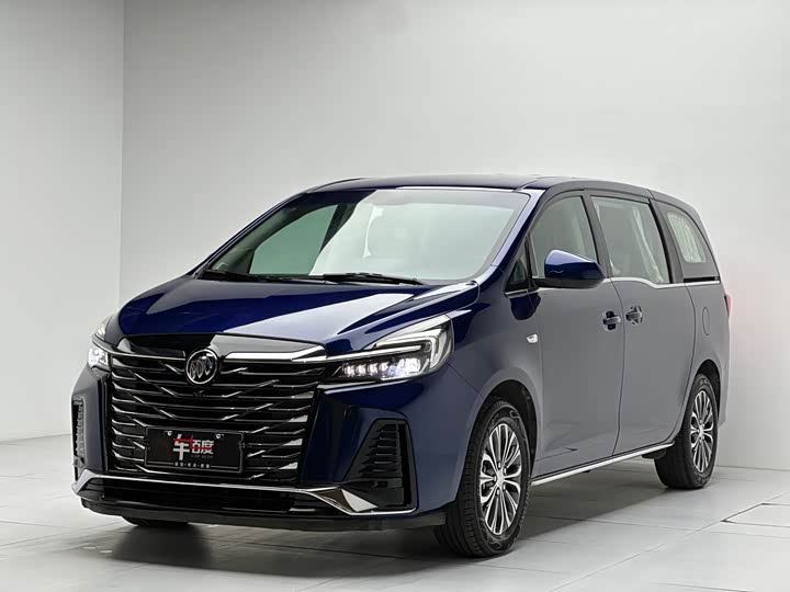 Фото 1 - Buick GL8 ES