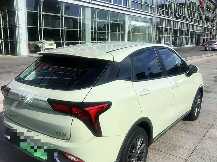 Фото 2 - Hozon V