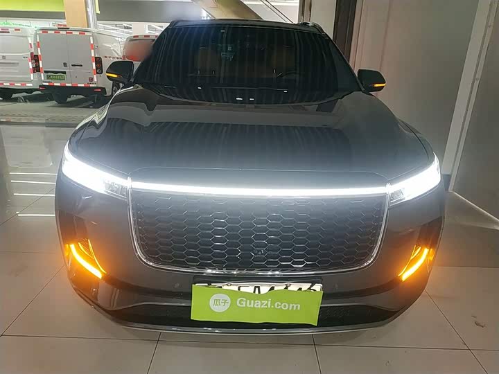 Фото 3 - LiXiang One