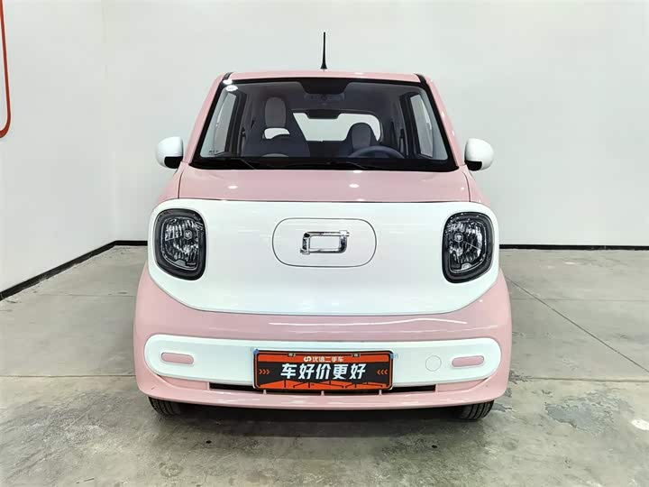 Фото 3 - Bestune Pony