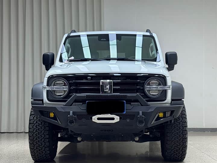 Фото 2 - Tank 300