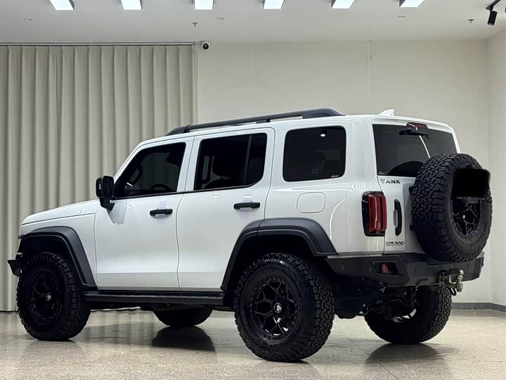 Фото 4 - Tank 300