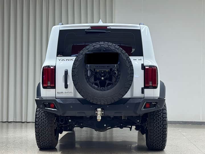 Фото 5 - Tank 300