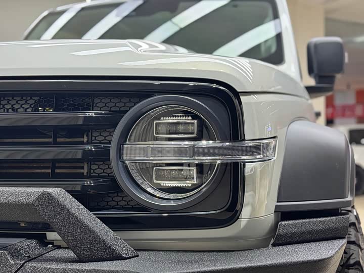 Фото 7 - Tank 300