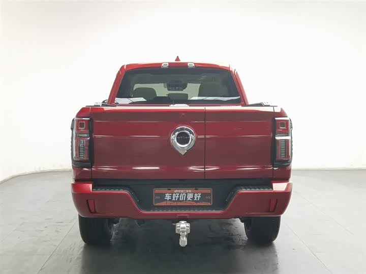 Фото 4 - Great Wall Shanhai Poer