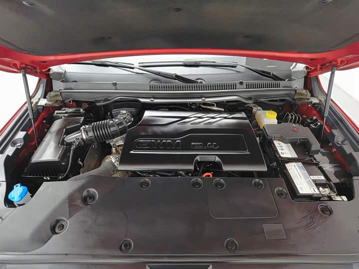 Фото 6 - Great Wall Shanhai Poer