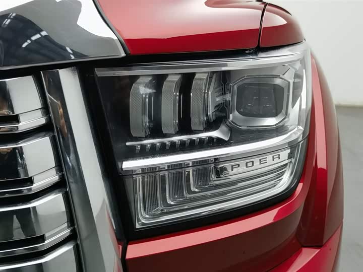 Фото 7 - Great Wall Shanhai Poer