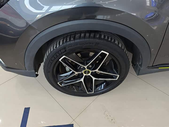 Фото 6 - Roewe RX5