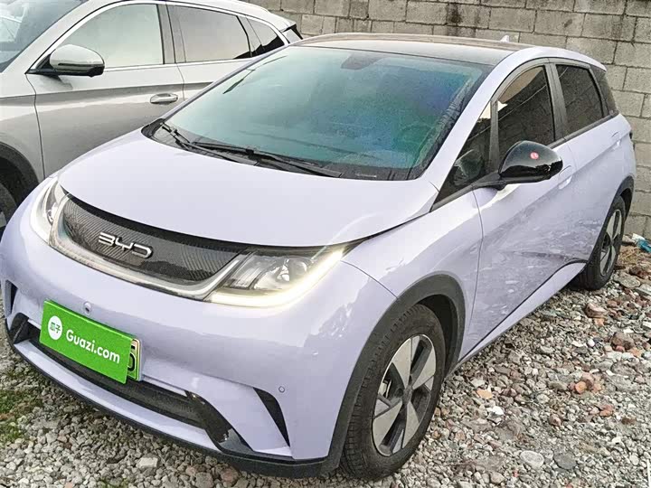 Фото 1 - BYD Dolphin