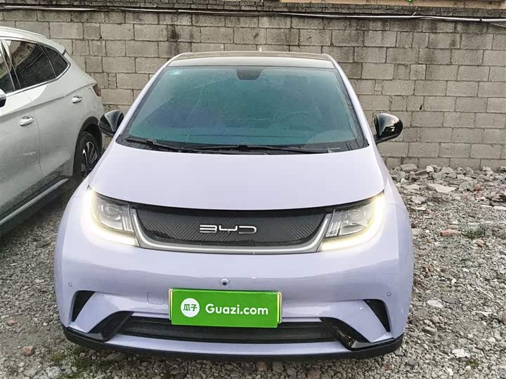 Фото 3 - BYD Dolphin