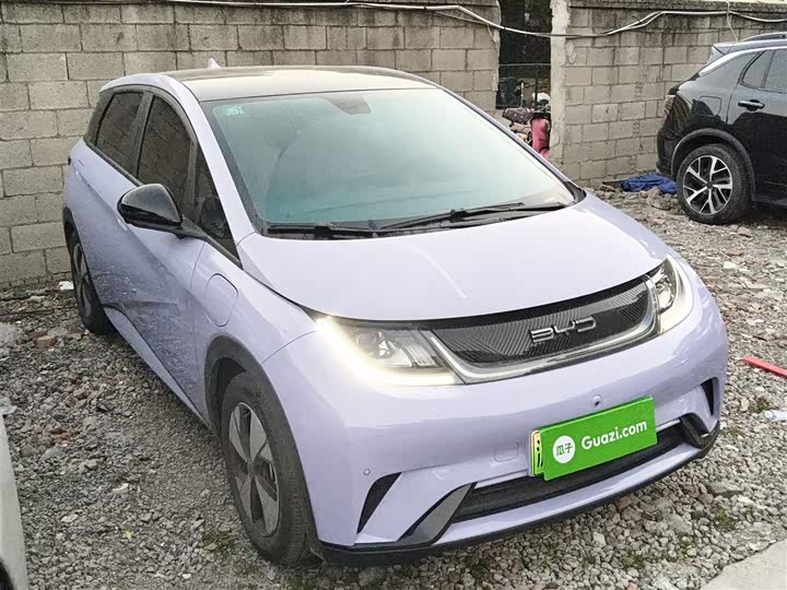 Фото 4 - BYD Dolphin