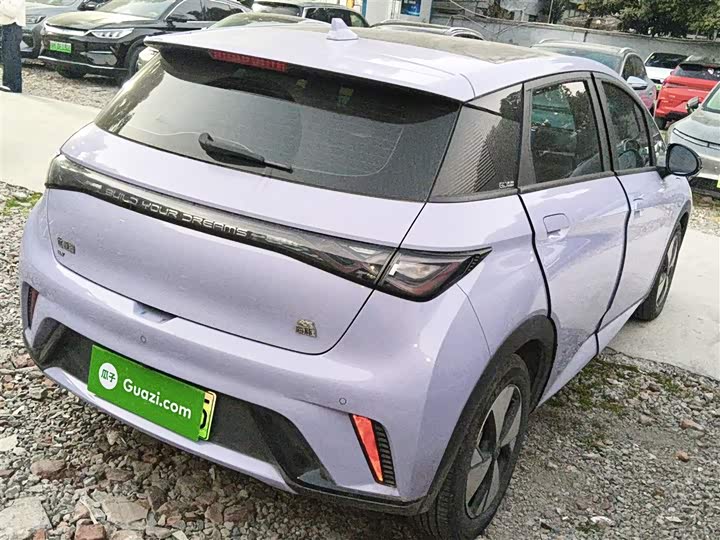 Фото 7 - BYD Dolphin