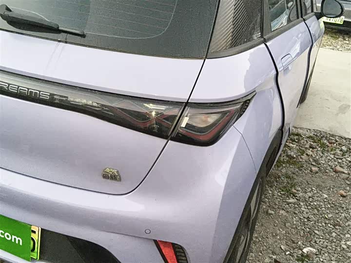 Фото 8 - BYD Dolphin