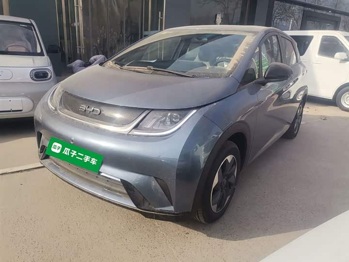 Фото 2 - BYD Dolphin