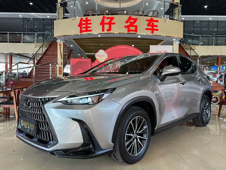 Фото 1 - Lexus NX