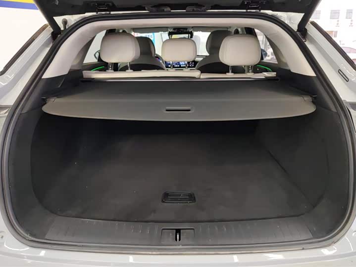 Фото 4 - Exeed RX C-DM Hybrid