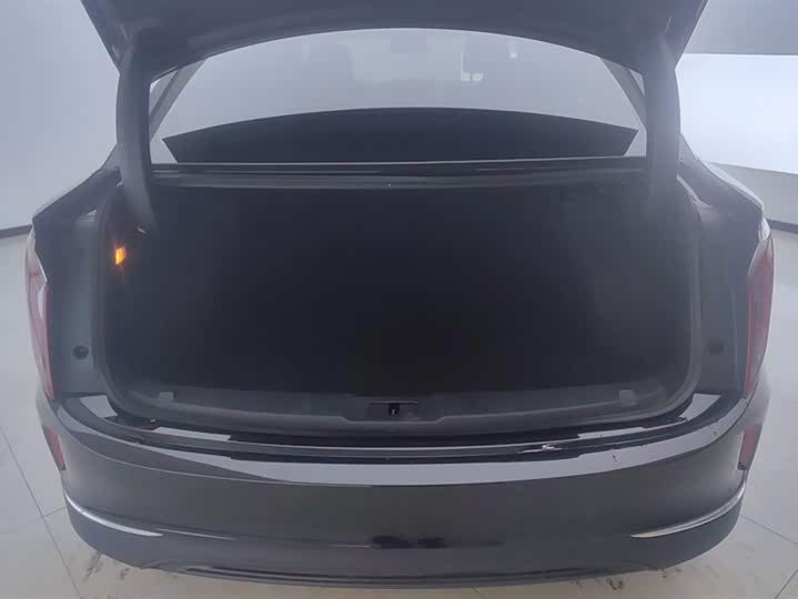 Фото 4 - Hongqi E-QM5