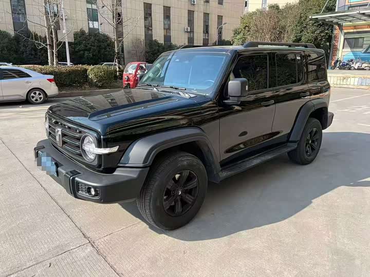 Фото 1 - Tank 300