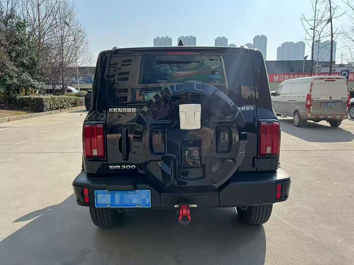 Фото 8 - Tank 300