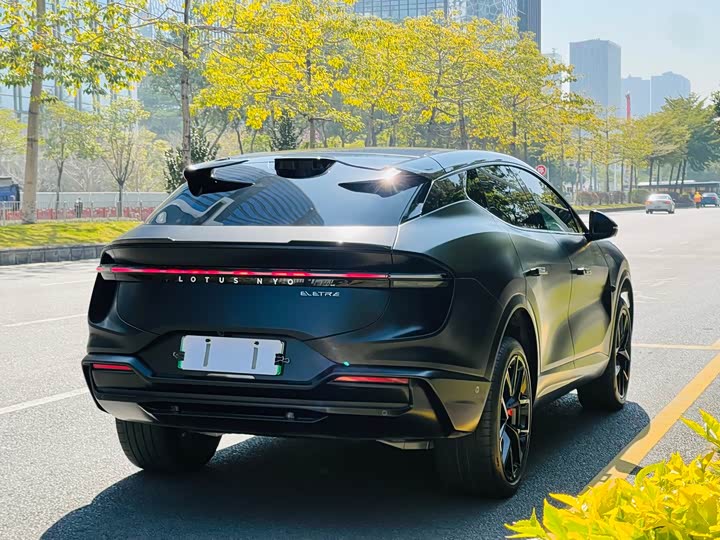 Фото 4 - Lotus Eletre