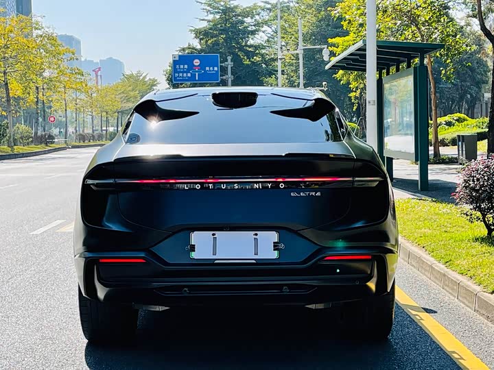 Фото 5 - Lotus Eletre