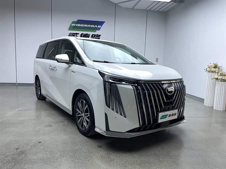 Фото 5 - GAC Trumpchi M8