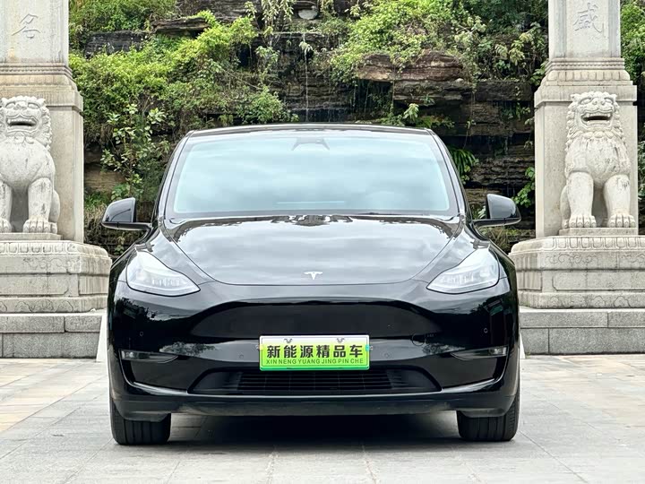 Фото 2 - Tesla Model Y