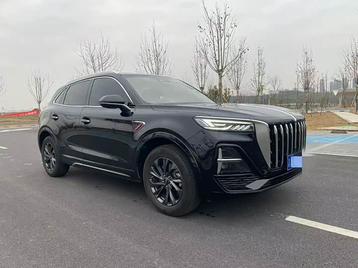 Фото 3 - Hongqi HS5