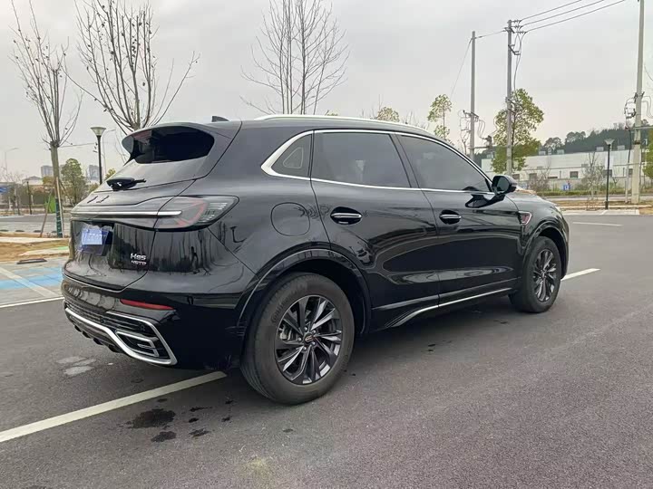 Фото 6 - Hongqi HS5