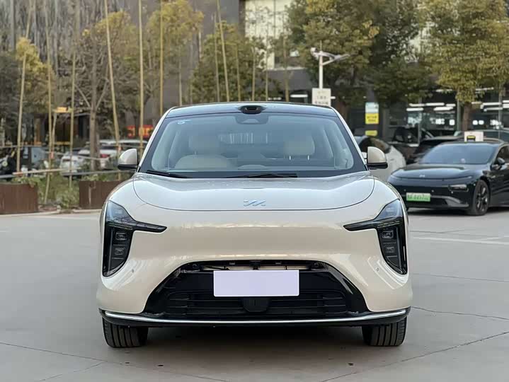 Фото 2 - IM motors LS6