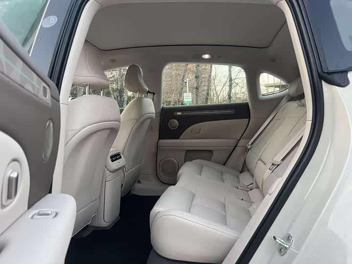 Фото 5 - IM motors LS6