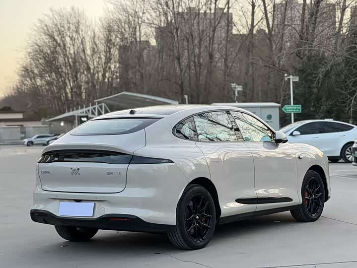 Фото 7 - IM motors LS6