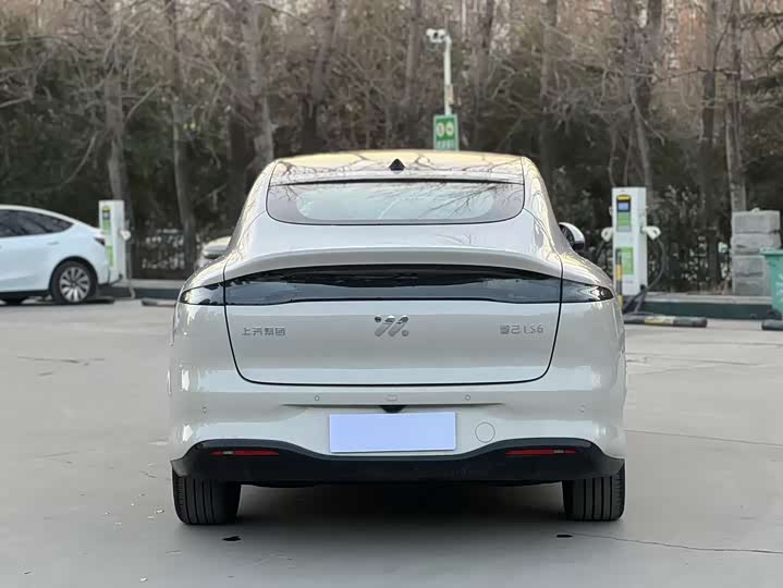 Фото 8 - IM motors LS6