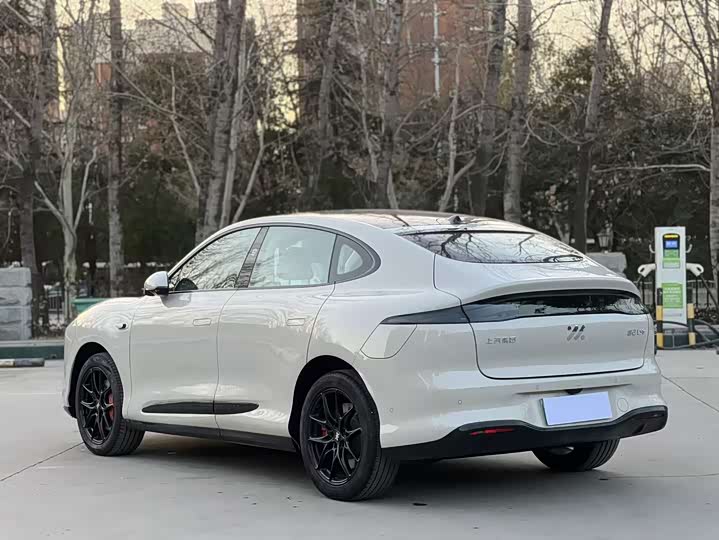 Фото 9 - IM motors LS6