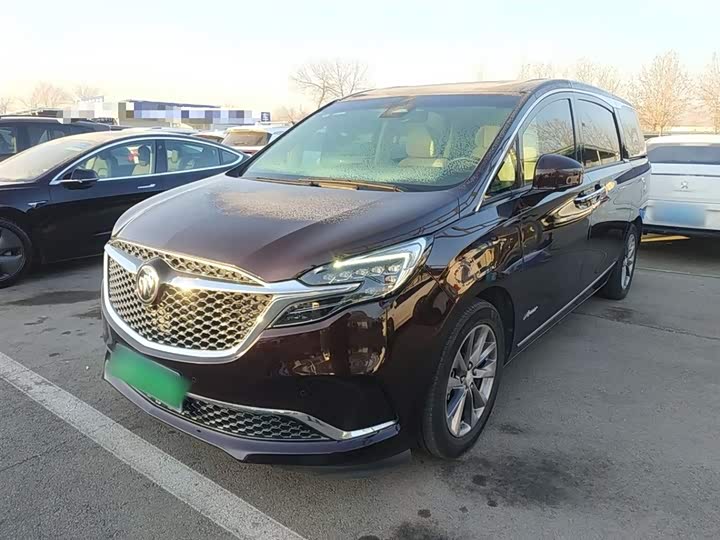 Фото 2 - Buick GL8 ES