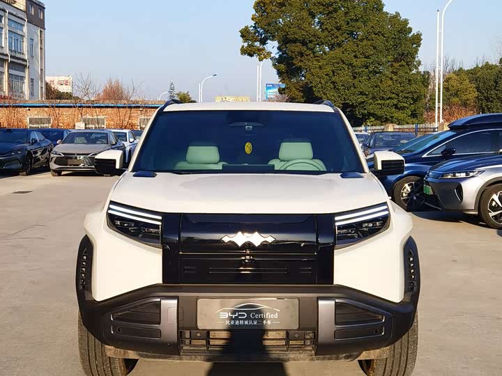 Фото 2 - BYD FangChengBao Titanium 3 (Tai 3)